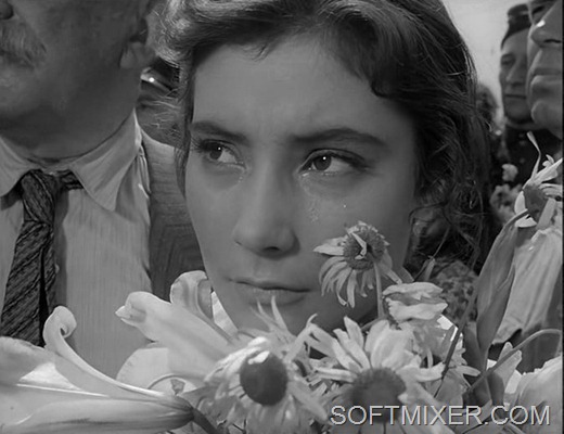 [Letjat_zhuravli.1-29-47.6257.jpg]