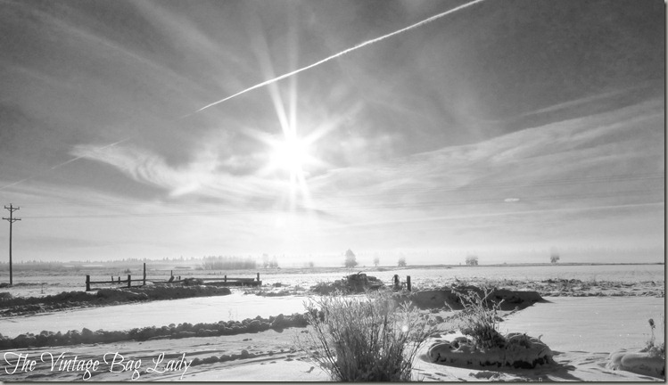 winter sunshine 005 (2)