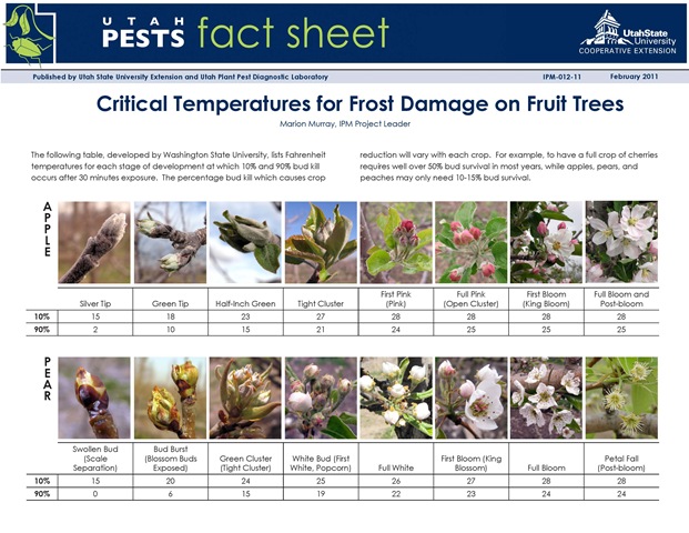 [Critical_Temperatures_Frost_Damage_Fruit_Trees_Utah_Page_1%255B3%255D.jpg]