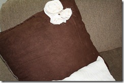 IMG_0341 IMG_0341
