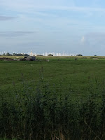 IMG_0952.JPG