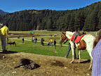 Dalhousie Trip on Nov 2010 Slideshow