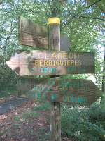 Woodland pathways
