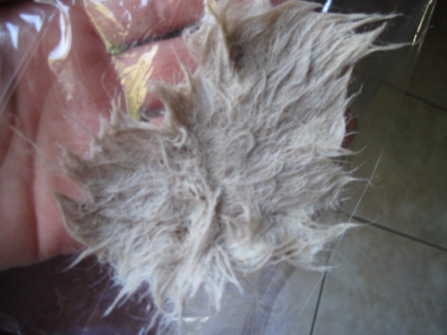 [hair%2520color%2520001%255B4%255D.jpg]