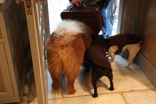 G.K., Karen brought a suitcase for you so we can pack up your things for the trip.