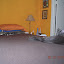 cats_chance_2010-05-23_04.JPG