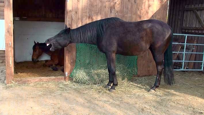 [20140402163705-%25281%2529%255B2%255D.jpg]