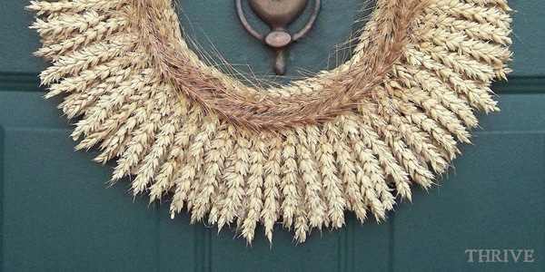 wheat.9b
