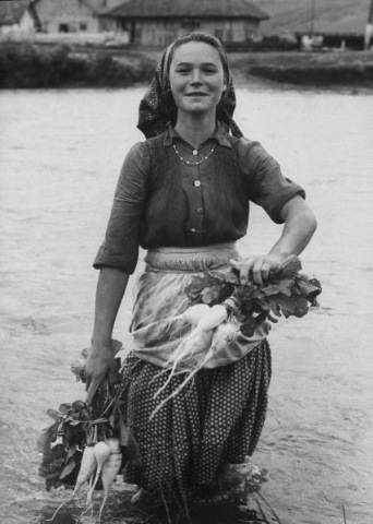 [Girl%2520farm%2520worker%2520washing%2520turnips%2520from%2520river%252C%2520on%2520collective%2520farm%252C%2520Romania%252C%25201973%255B4%255D.jpg]