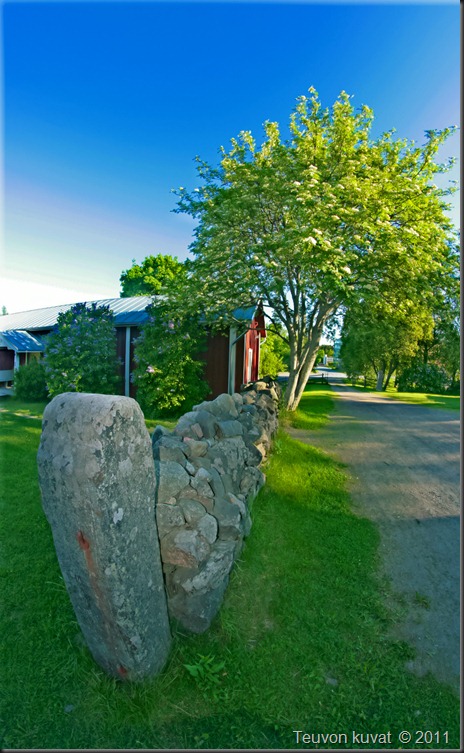.kesäkuu 5. 2010 015 .kesäkuu 5. 2010 015