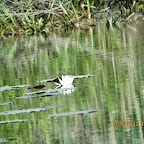 IMG_7600.JPG