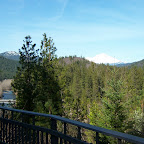 Shasta View.jpg