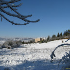 2011-12-20 (7).jpg