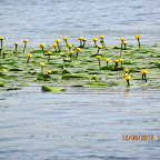 IMG_7792.JPG