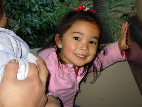 Disney 2010 - Animal Kingdom