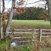 PB110028.jpg