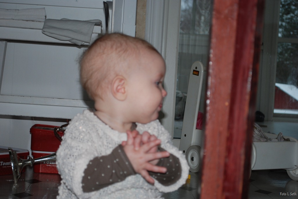 [DSC_0507%255B8%255D.jpg]