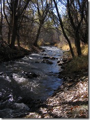 bear creek