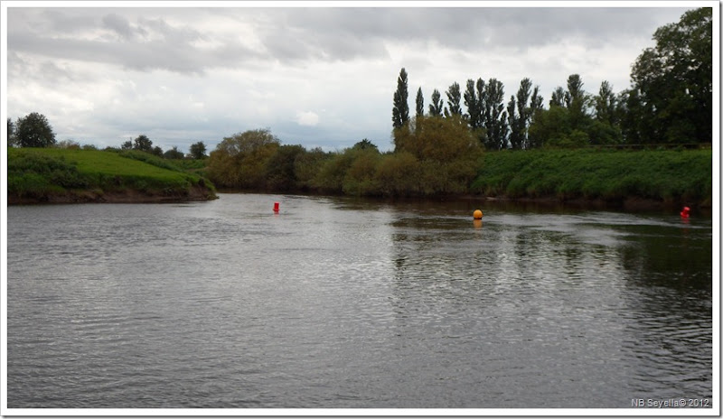 SAM_3112 River Nidd