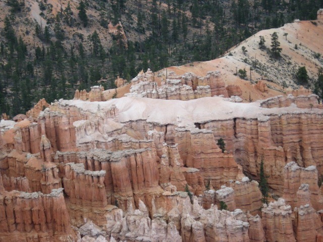 [IMG_0532%255B3%255D.jpg]