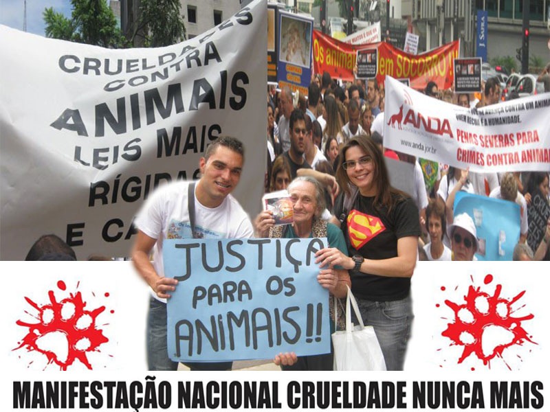 [marcelo_nuncamais%255B2%255D.jpg]