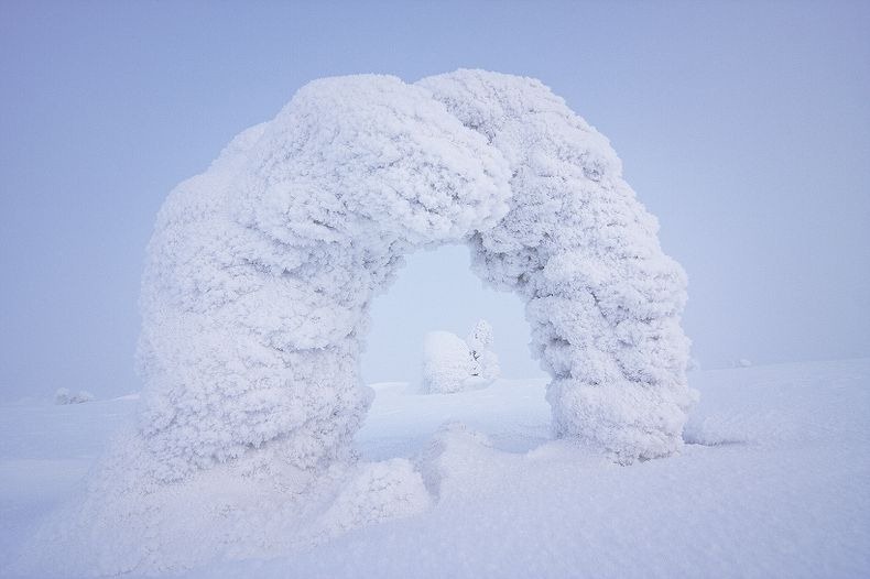 Sentinels-of-the-Arctic-3 Sentinels-of-the-Arctic-3