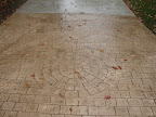 DSC00409.JPG