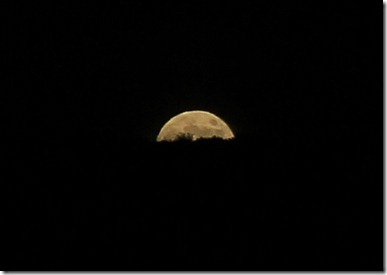 moon rise moon rise