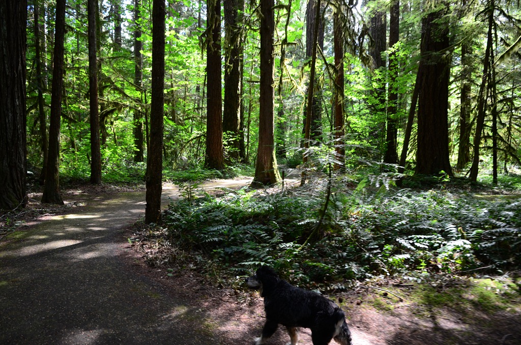 [friends-and-fall_0225.jpg]