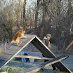 DSC08927.JPG