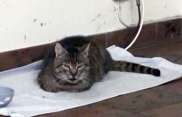 [20111218000507%25281%2529%255B6%255D.jpg]