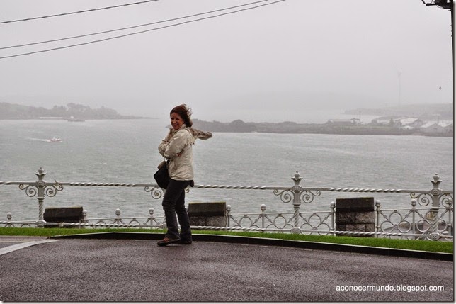 Cobh. Vistas del mar desde la Catedral  - DSC_0127