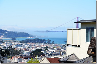 110919 San Francisco (2)