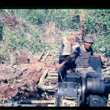 70年代の森林での伐採作業の様子 / A snapshot of the logging operation in the forest of the 70s.
