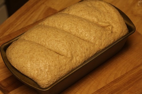 [honey-graham-oatmeal-bread019%255B5%255D.jpg]