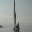AIG_7119.JPG