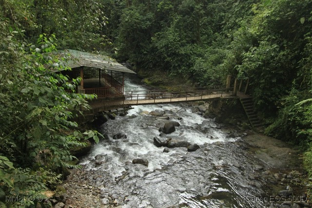 [IMG_2095%255B10%255D.jpg]