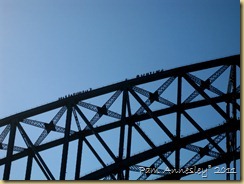 IMG_0082 IMG_0082