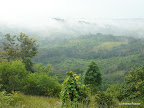 zwischen Kinshasa und Kikwit