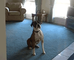 [tumblr_m2y2dhpcL91qhwuczo1_250%255B3%255D.gif]