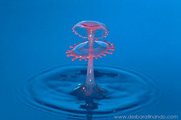 liquid-drop-art-gotas-caindo-foto-velocidade-hora-certa-desbaratinando (103) liquid-drop-art-gotas-caindo-foto-velocidade-hora-certa-desbaratinando (103)