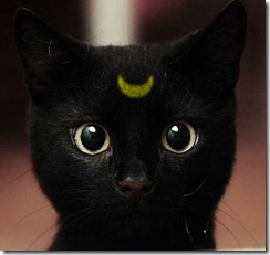 black-cat-luna-moon-sailor-moon-Favim.com-122860_large