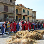 IMG_5905.jpg