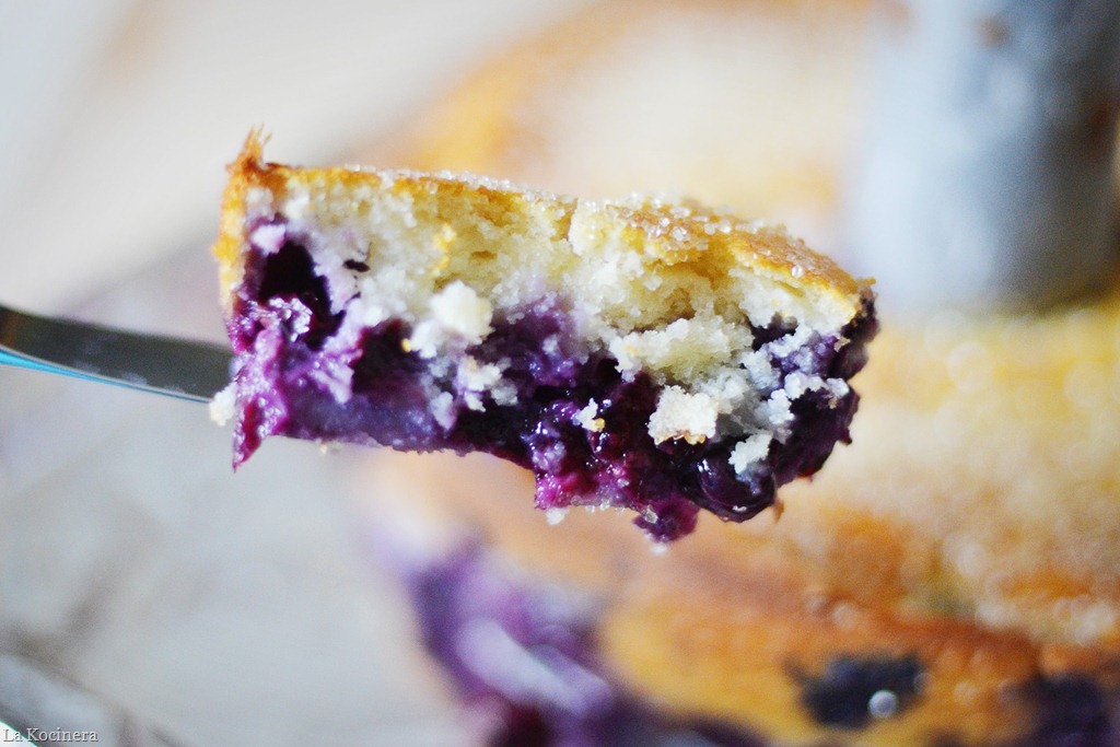 [cake%2520piece%255B13%255D.jpg]