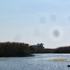 IMG_8007.JPG