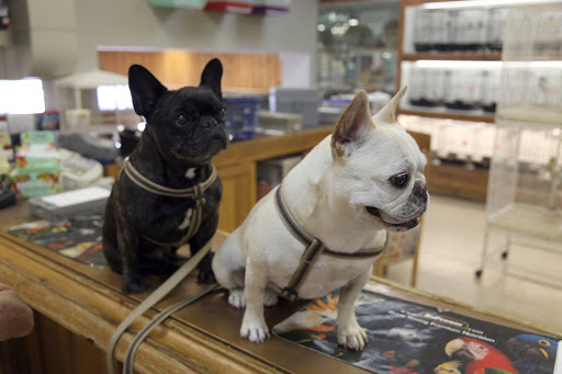 Right Franny, we need to get back on track and get what we really came here for - canary food!
