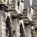 20100403_058.JPG
