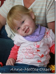 IMG_1570 IMG_1570