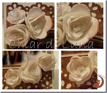rose rose