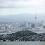 Auckland, Devonport, and North Head From Rangitoto Summit - Auckland, New Zealand